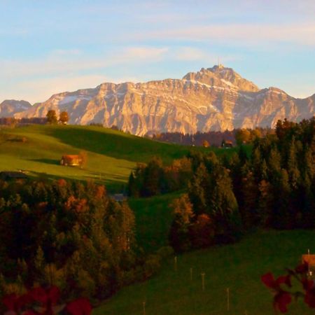 Ferien Auf Dem Bauernhof Hasenbuel Apartment Sankt Peterzell Bagian luar foto